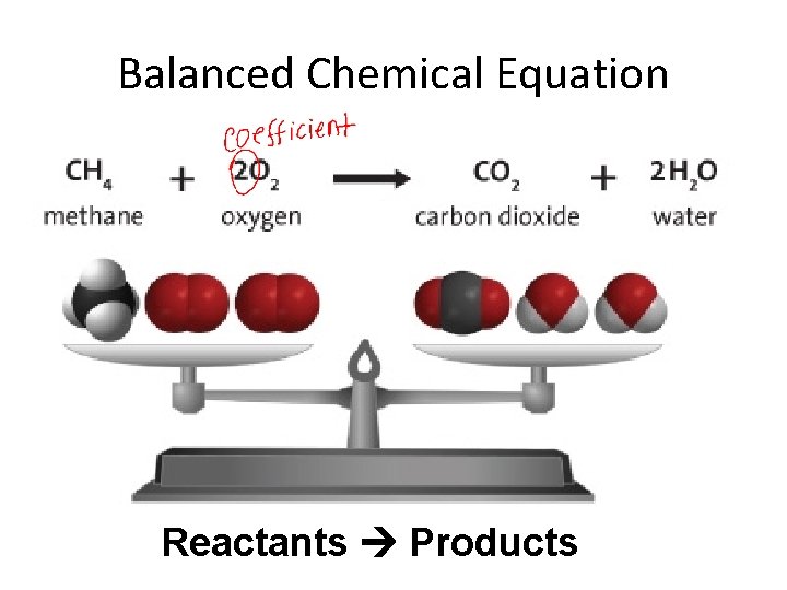 Balanced Chemical Equation • The equation that shows the number of atoms of each