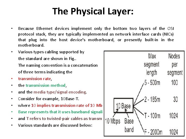 The Physical Layer: • • • Because Ethernet devices implement only the bottom two