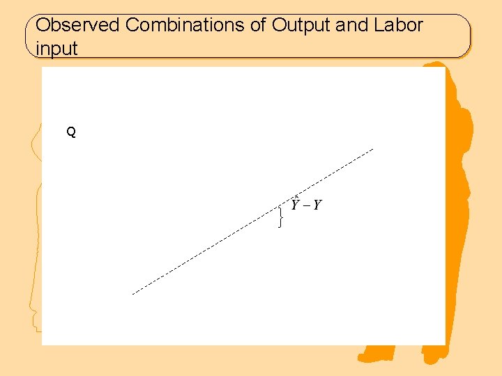 Observed Combinations of Output and Labor input Q 