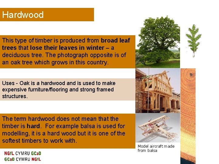 Hardwood This type of timber is produced from broad leaf trees that lose their