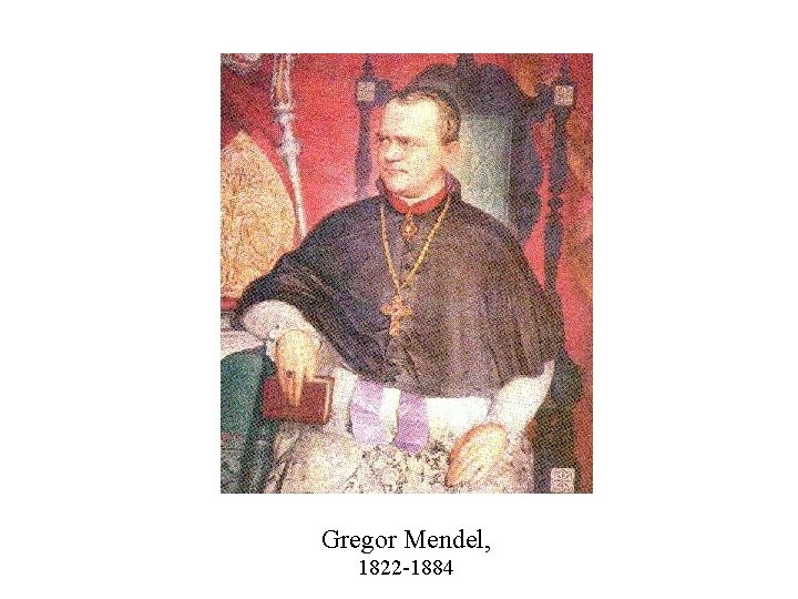 Gregor Mendel, 1822 -1884 