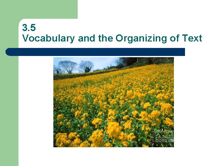 3. 5 Vocabulary and the Organizing of Text 