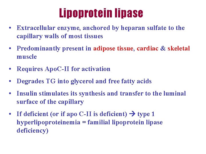 Lipoprotein lipase • Extracellular enzyme, anchored by heparan sulfate to the capillary walls of