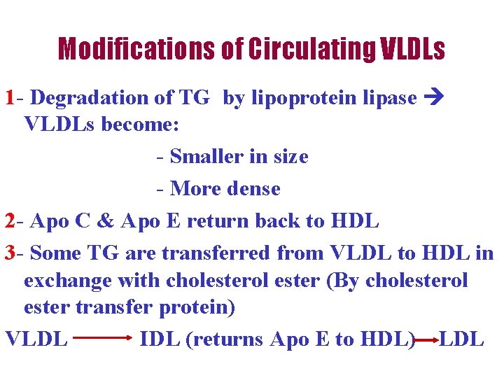 Modifications of Circulating VLDLs 1 - Degradation of TG by lipoprotein lipase VLDLs become: