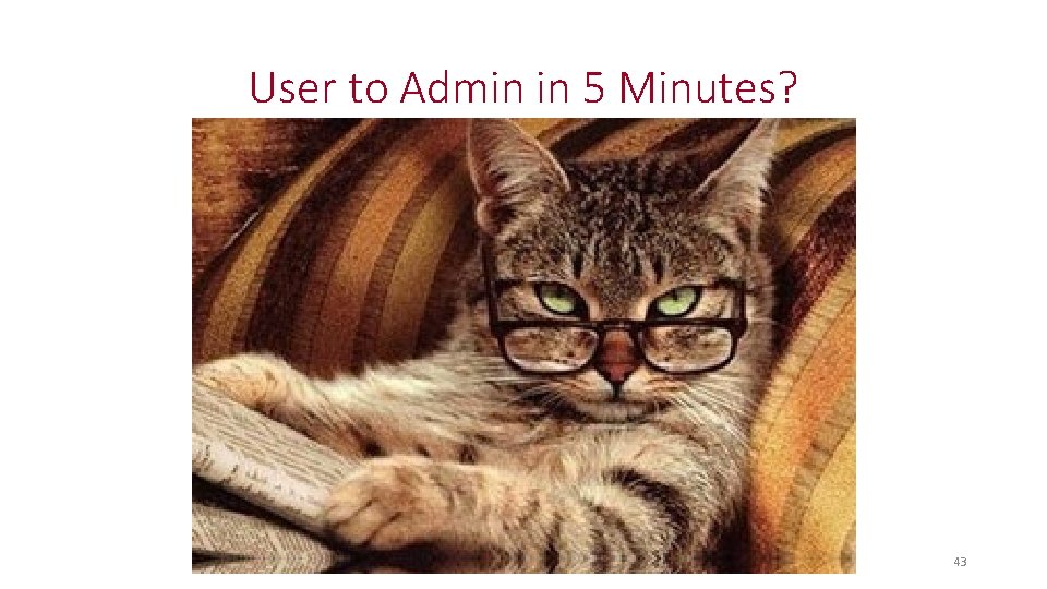 User to Admin in 5 Minutes? 43 