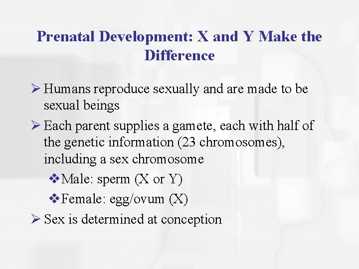 Prenatal Development: X and Y Make the Difference Ø Humans reproduce sexually and are