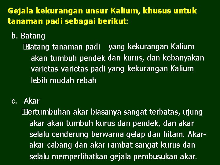 Gejala kekurangan unsur Kalium, khusus untuk tanaman padi sebagai berikut: b. Batang � Batang