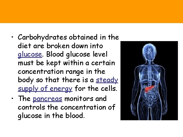  • Carbohydrates obtained in the diet are broken down into glucose. Blood glucose