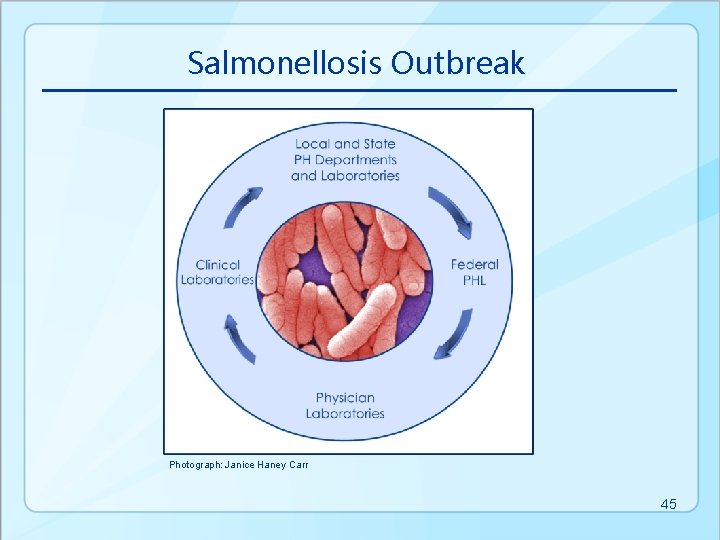 Salmonellosis Outbreak Photograph: Janice Haney Carr 45 