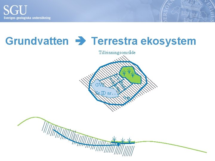 Grundvatten Terrestra ekosystem Tillrinningsområde e öd -fl mi GV h ke oc GVF Se