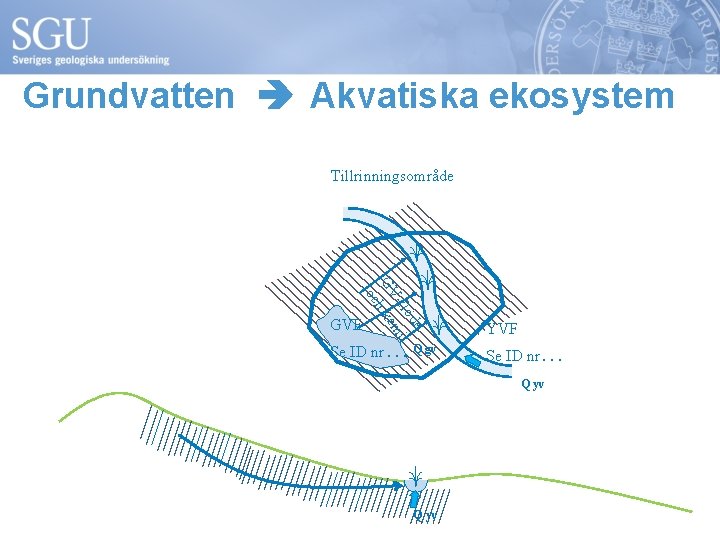 Grundvatten Akvatiska ekosystem Tillrinningsområde e öd -fl mi GV h ke oc GVF Se