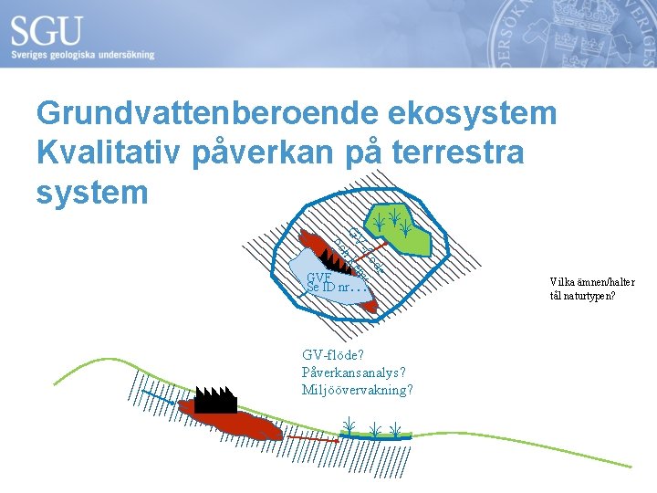 Grundvattenberoende ekosystem Kvalitativ påverkan på terrestra system e öd -fl mi GV h ke