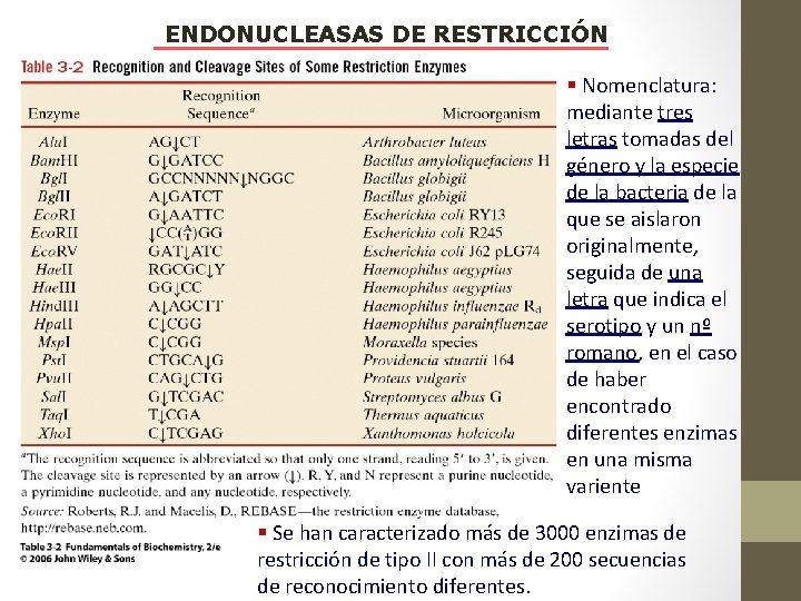 ENDONUCLEASAS DE RESTRICCIÓN § Nomenclatura: mediante tres letras tomadas del género y la especie