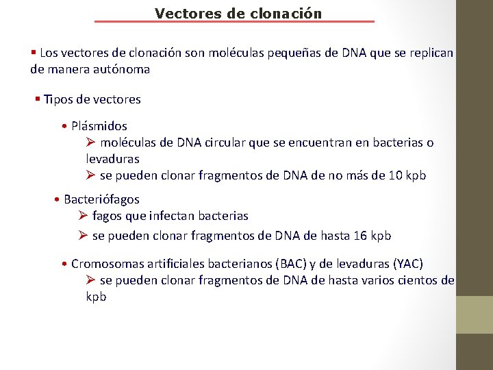 Vectores de clonación § Los vectores de clonación son moléculas pequeñas de DNA que