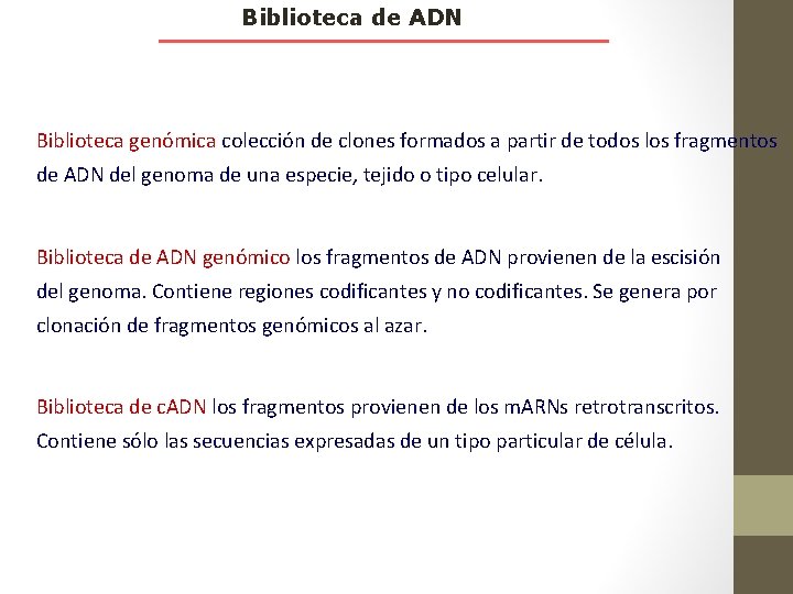 Biblioteca de ADN Biblioteca genómica colección de clones formados a partir de todos los