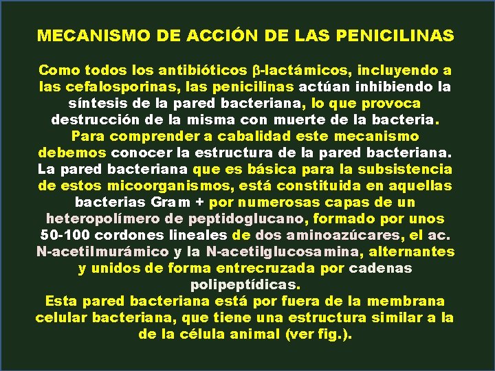 MECANISMO DE ACCIÓN DE LAS PENICILINAS Como todos los antibióticos b-lactámicos, incluyendo a las