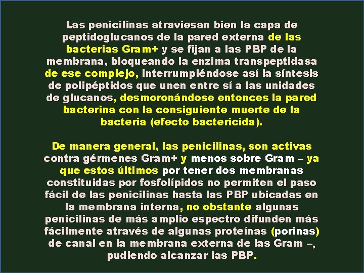 Las penicilinas atraviesan bien la capa de peptidoglucanos de la pared externa de las