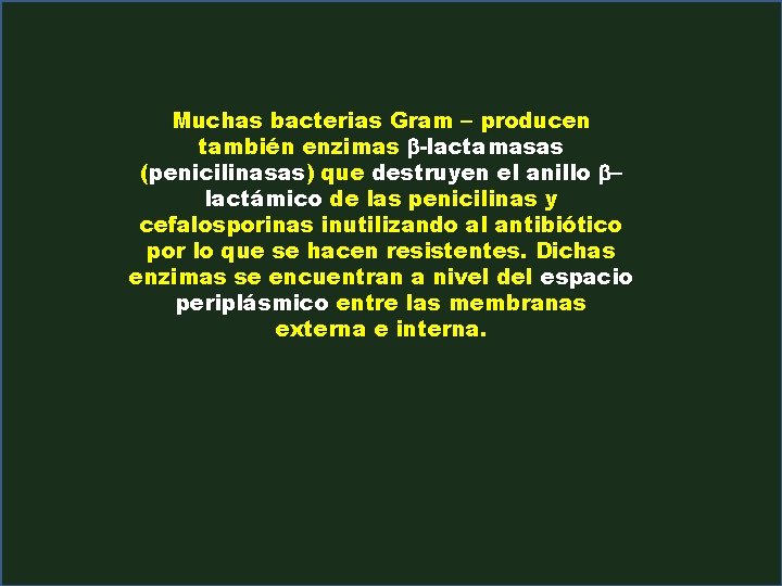 Muchas bacterias Gram - producen también enzimas b-lactamasas (penicilinasas) que destruyen el anillo blactámico