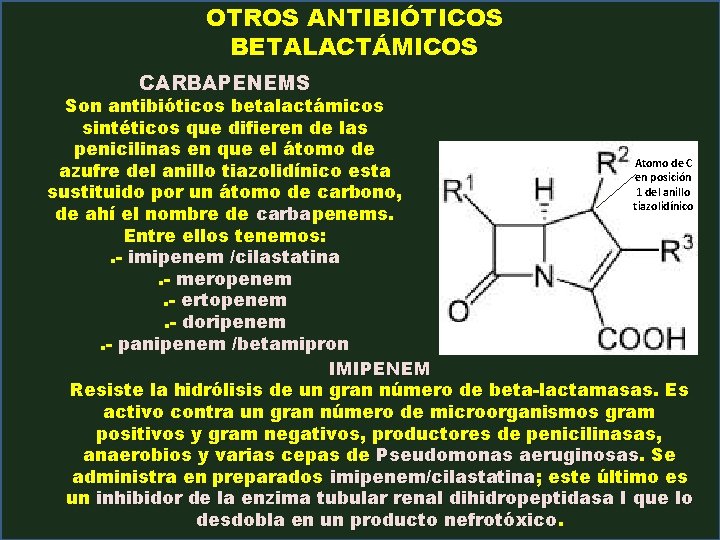 OTROS ANTIBIÓTICOS BETALACTÁMICOS CARBAPENEMS Son antibióticos betalactámicos sintéticos que difieren de las penicilinas en