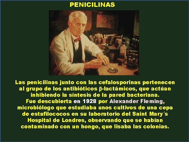 PENICILINAS Las penicilinas junto con las cefalosporinas pertenecen al grupo de los antibióticos b-lactámicos,