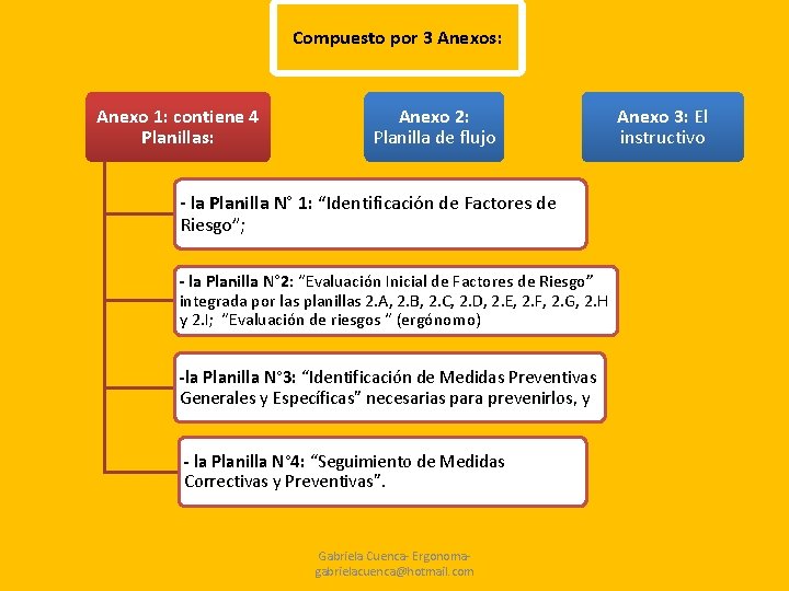 Compuesto por 3 Anexos: Anexo 1: contiene 4 Planillas: Anexo 2: Planilla de flujo