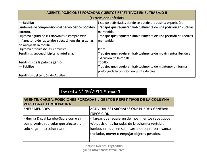 Decreto N° 49/2014 Anexo 1 Gabriela Cuenca- Ergonoma- gabrielacuenca@hotmail. com 
