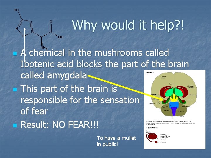 Why would it help? ! n n n A chemical in the mushrooms called