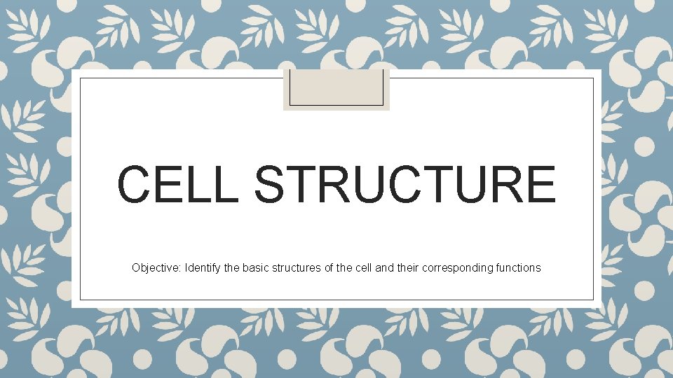 CELL STRUCTURE Objective: Identify the basic structures of the cell and their corresponding functions