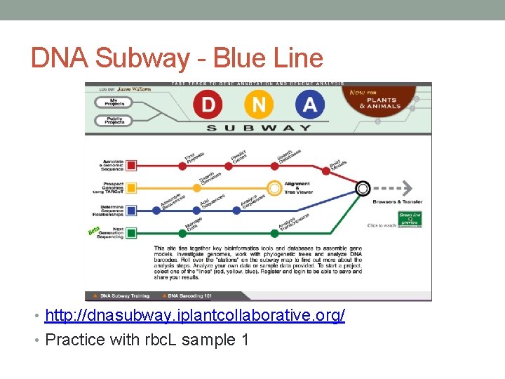 DNA Subway - Blue Line • http: //dnasubway. iplantcollaborative. org/ • Practice with rbc.