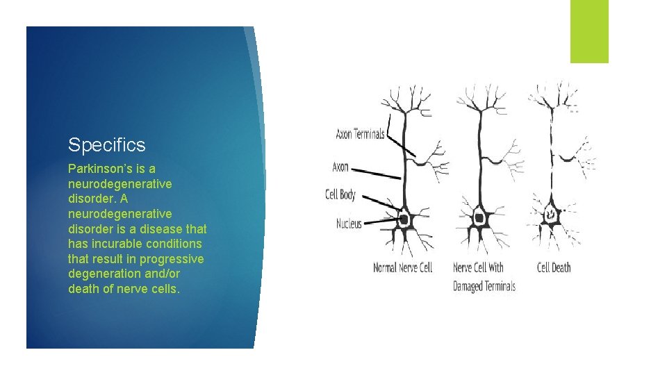 Specifics Parkinson’s is a neurodegenerative disorder. A neurodegenerative disorder is a disease that has