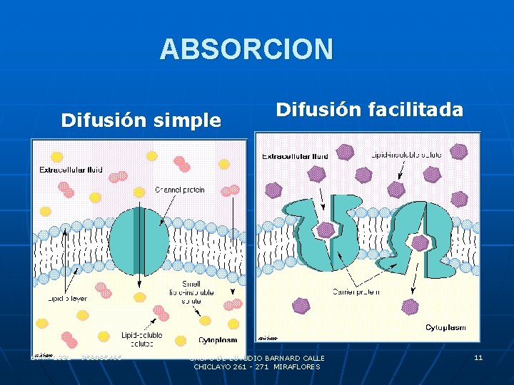 ABSORCION Difusión simple 674 - 1321 958085495 Difusión facilitada GRUPO DE ESTUDIO BARNARD CALLE