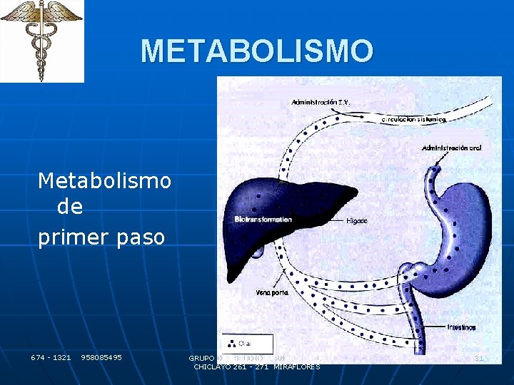 METABOLISMO Metabolismo de primer paso 674 - 1321 958085495 GRUPO DE ESTUDIO BARNARD CALLE