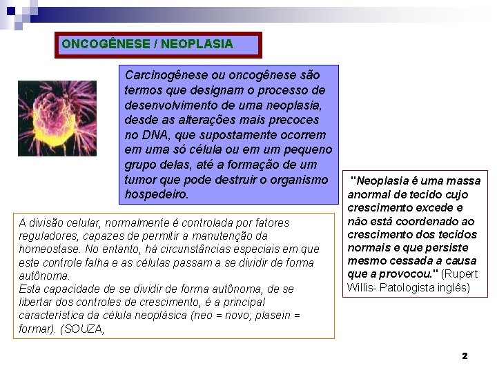 ONCOGÊNESE / NEOPLASIA Carcinogênese ou oncogênese são termos que designam o processo de desenvolvimento