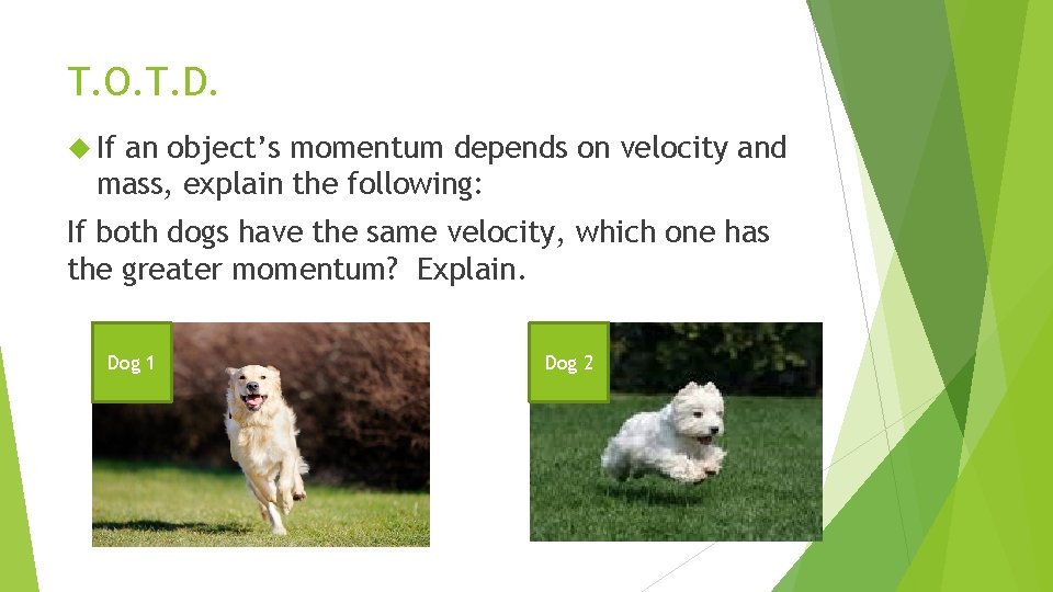 T. O. T. D. If an object’s momentum depends on velocity and mass, explain