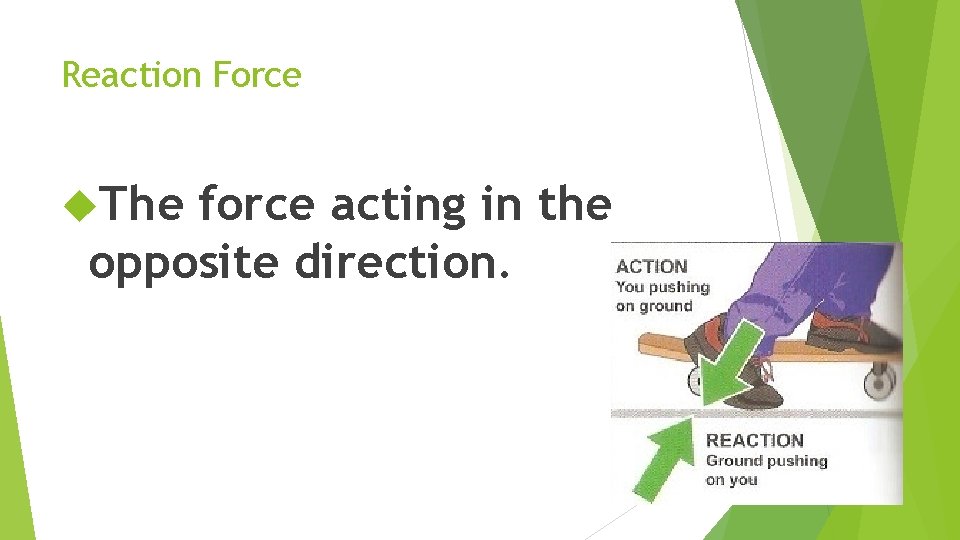 Reaction Force The force acting in the opposite direction. 