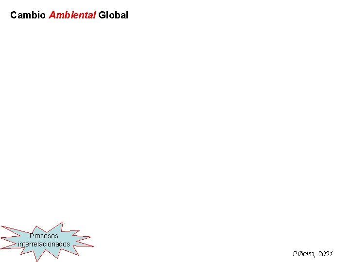 Cambio Ambiental Global Procesos interrelacionados Piñeiro, 2001 