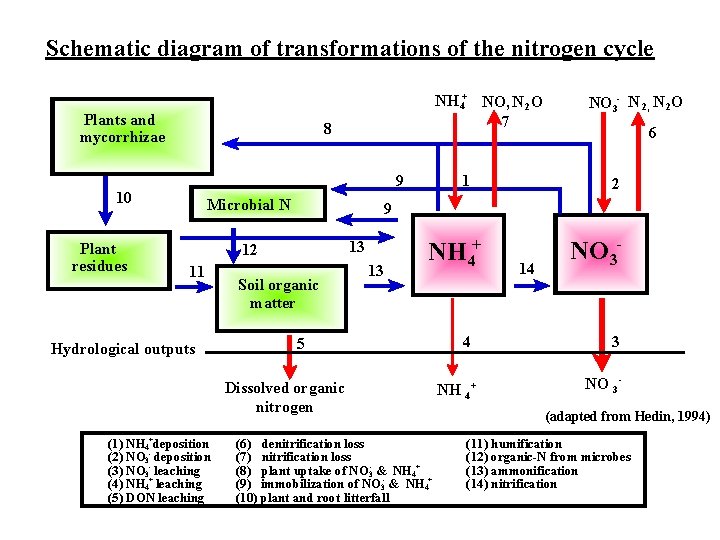 Schematic diagram of transformations of the nitrogen cycle Plants and mycorrhizae 8 9 10