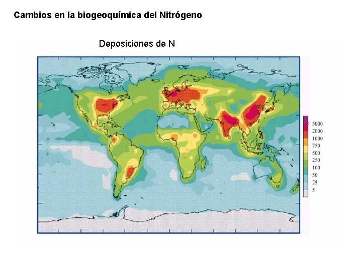 Cambios en la biogeoquímica del Nitrógeno Deposiciones de N 