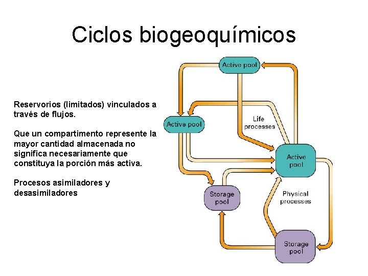 Ciclos biogeoquímicos Reservorios (limitados) vinculados a través de flujos. Que un compartimento represente la