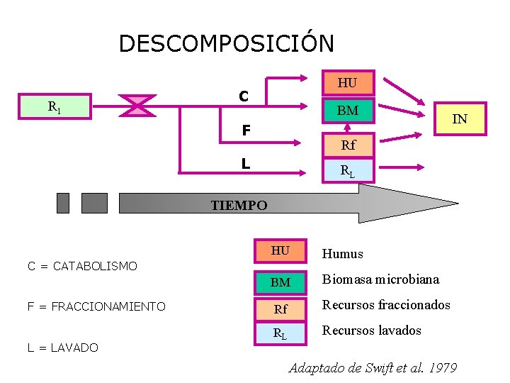 DESCOMPOSICIÓN R 1 HU C BM F IN Rf L RL TIEMPO HU Humus