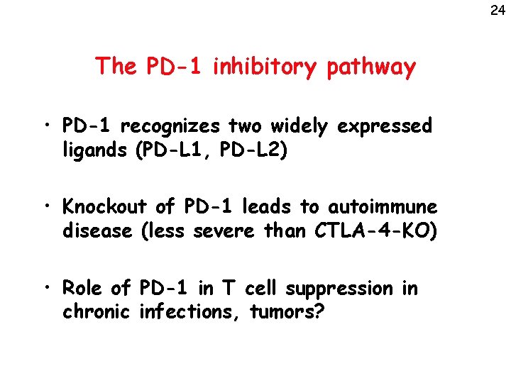 24 The PD-1 inhibitory pathway • PD-1 recognizes two widely expressed ligands (PD-L 1,