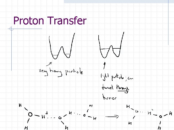 Proton Transfer 