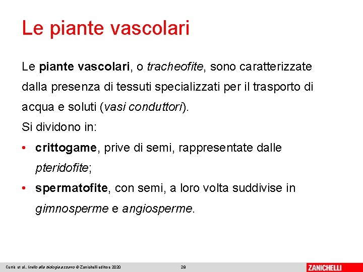Le piante vascolari, o tracheofite, sono caratterizzate dalla presenza di tessuti specializzati per il