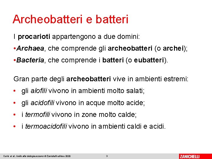 Archeobatteri e batteri I procarioti appartengono a due domini: • Archaea, che comprende gli