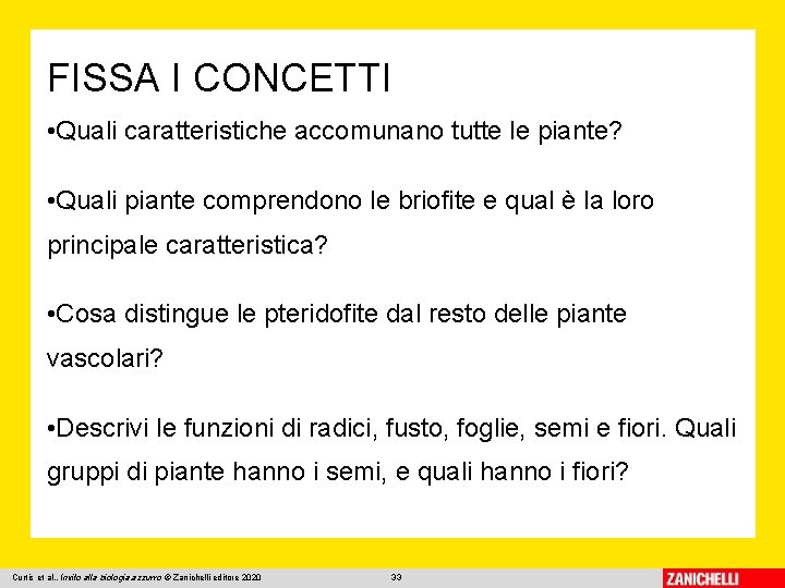 FISSA I CONCETTI • Quali caratteristiche accomunano tutte le piante? • Quali piante comprendono
