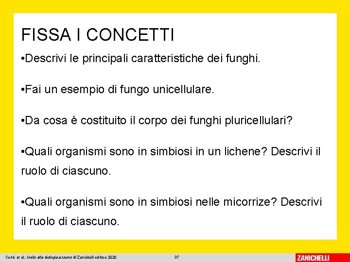 FISSA I CONCETTI • Descrivi le principali caratteristiche dei funghi. • Fai un esempio