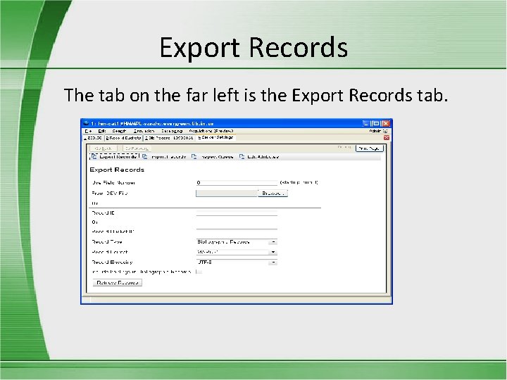 Export Records The tab on the far left is the Export Records tab. 