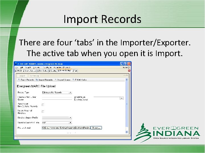 Import Records There are four ‘tabs’ in the Importer/Exporter. The active tab when you