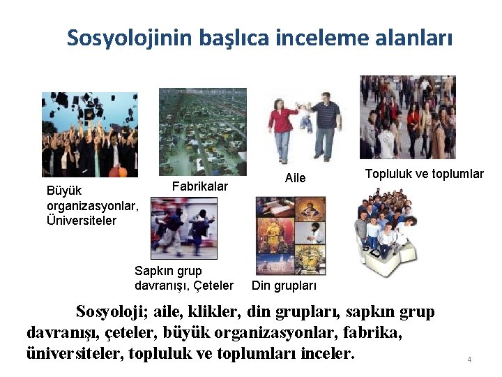 Sosyolojinin başlıca inceleme alanları Büyük organizasyonlar, Üniversiteler Fabrikalar Sapkın grup davranışı, Çeteler Aile Topluluk