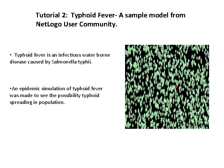 Tutorial 2: Typhoid Fever- A sample model from Net. Logo User Community. • Typhoid